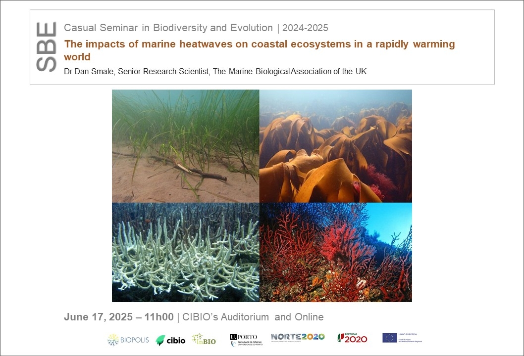 The impacts of marine heatwaves on coastal ecosystems in a rapidly warming world