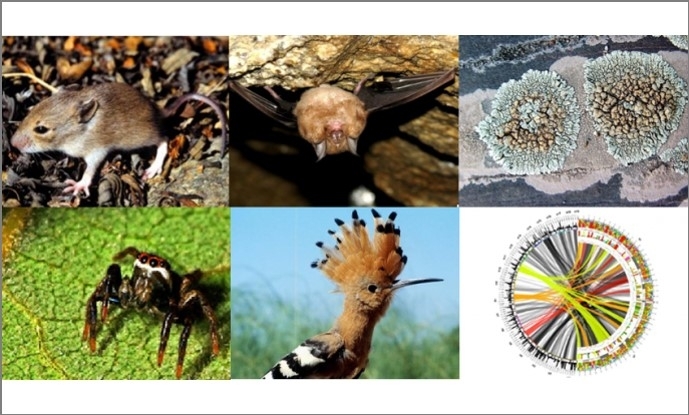 Practical Courses in Biology