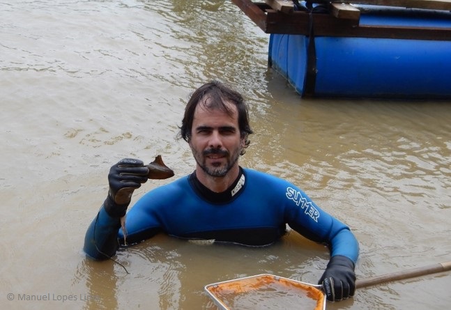 Manuel Lopes Lima