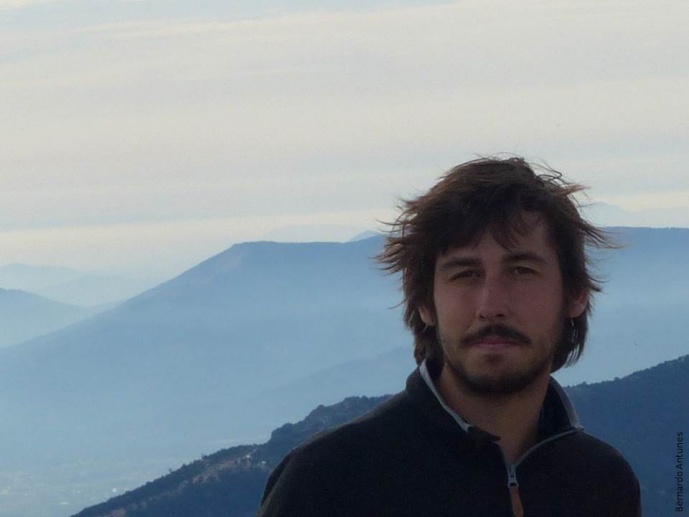 Bernardo Antunes