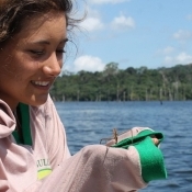 Ana Filipa Palmeirim