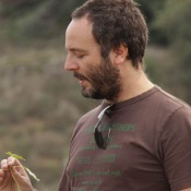 João P. Honrado