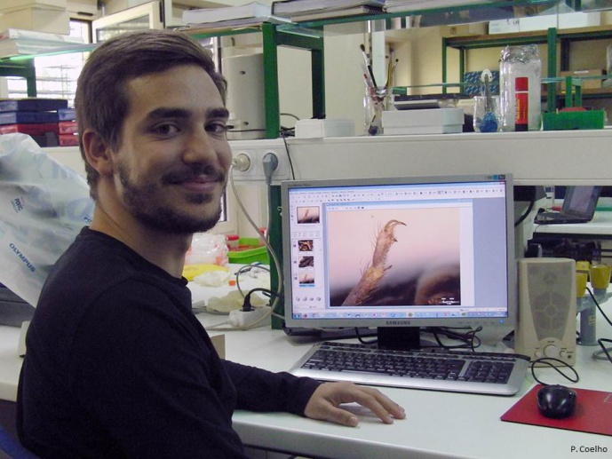 Pedro Jorge Lobo Martins Coelho
