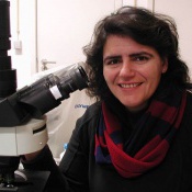 Patrícia da Silva Marques Mendes