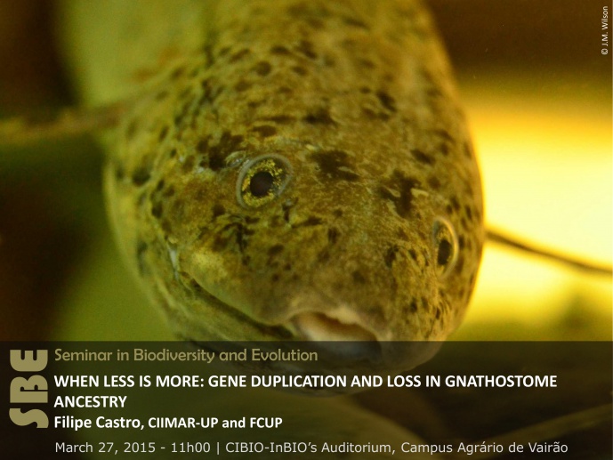 WHEN LESS IS MORE: GENE DUPLICATION AND LOSS IN GNATHOSTOME ANCESTRY