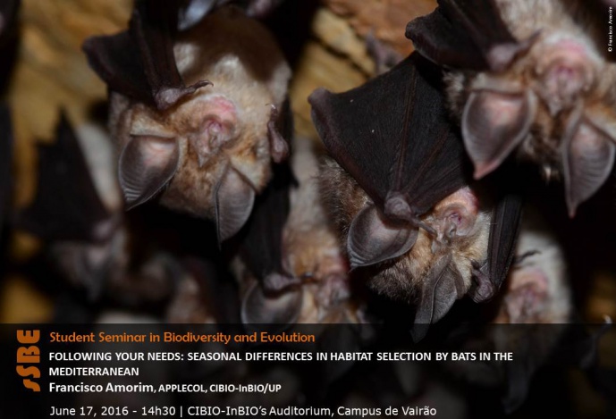 FOLLOWING YOUR NEEDS: SEASONAL DIFFERENCES IN HABITAT SELECTION BY BATS IN THE MEDITERRANEAN