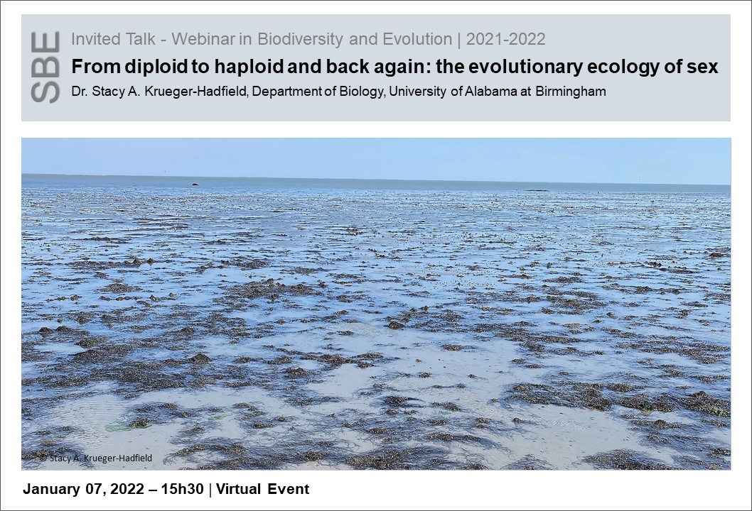 From diploid to haploid and back again: the evolutionary ecology of sex