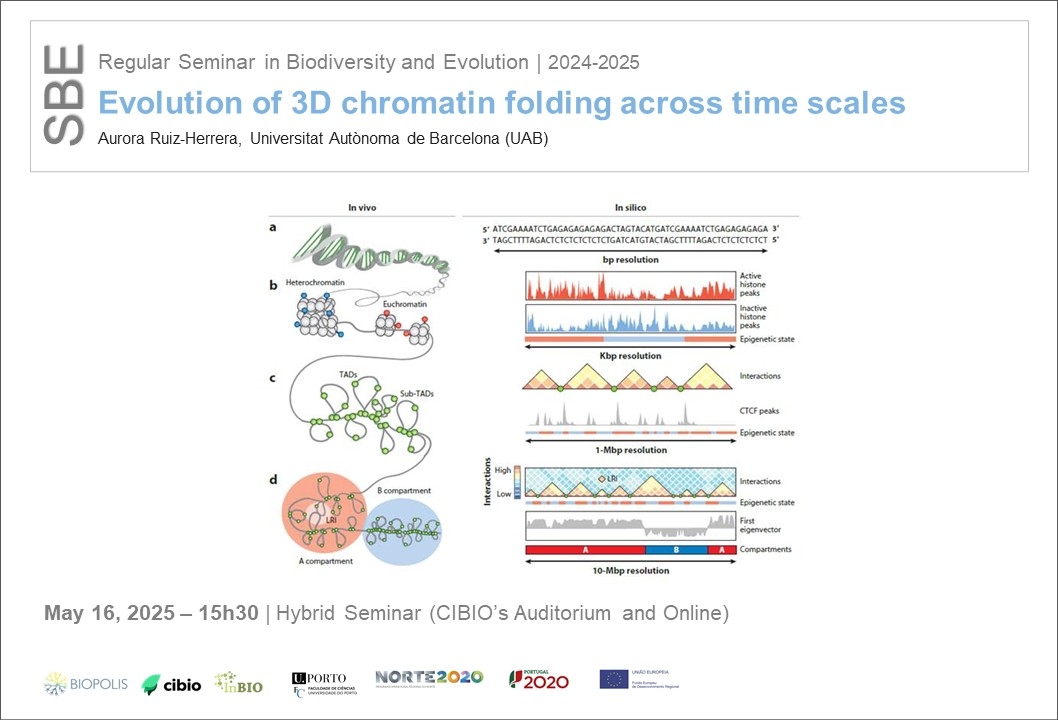 Evolution of 3D chromatin folding across time scales Evolution of 3D chromatin folding across time scales