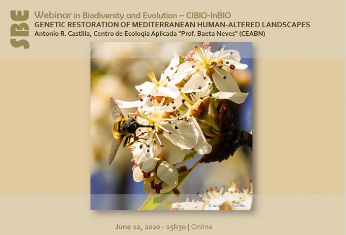 Genetic restoration of Mediterranean human-altered landscapes