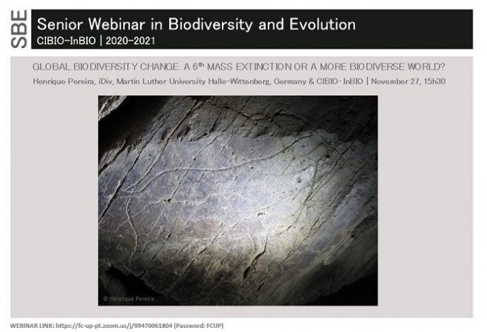 Global Biodiversity change: a 6th mass extinction or a more biodiverse world?