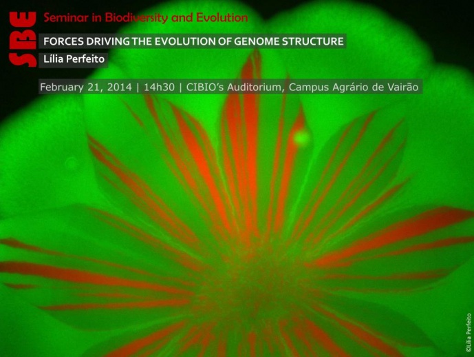 FORCES DRIVING THE EVOLUTION OF GENOME STRUCTURE