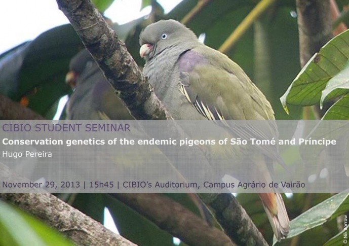 CONSERVATION GENETICS OF THE ENDEMIC PIGEONS OF SÃO TOMÉ AND PRÍNCIPE