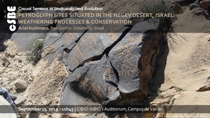 PETROGLYPH SITES SITUATED IN THE NEGEV DESERT, ISRAEL: WEATHERING PROCESSES & CONSERVATION