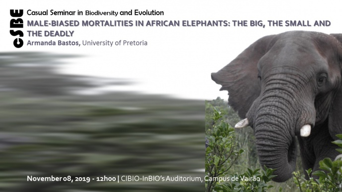 MALE-BIASED MORTALITIES IN AFRICAN ELEPHANTS: THE BIG, THE SMALL AND THE DEADLY