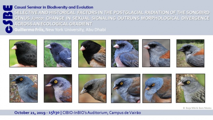 SELECTIVE AND HISTORICAL FACTORS IN THE POSTGLACIAL RADIATION OF THE SONGBIRD GENUS Junco: CHANGE IN SEXUAL SIGNALING OUTRUNS MORPHOLOGICAL DIVERGENCE ACROSS AN ECOLOGICAL GRADIENT