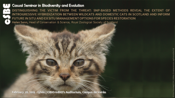 DISTINGUISHING THE VICTIM FROM THE THREAT: SNP‐BASED METHODS REVEAL THE EXTENT OF INTROGRESSIVE HYBRIDIZATION BETWEEN WILDCATS AND DOMESTIC CATS IN SCOTLAND AND INFORM FUTURE IN SITU AND EX SITU MANAGEMENT OPTIONS FOR SPECIES RESTORATION