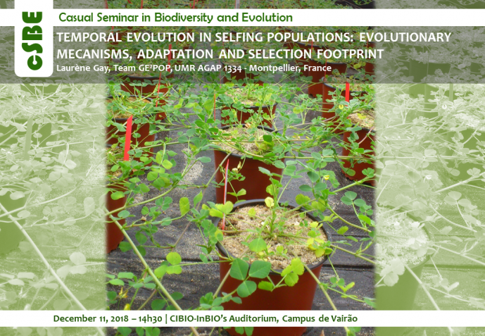 TEMPORAL EVOLUTION IN SELFING POPULATIONS: EVOLUTIONARY MECANISMS, ADAPTATION AND SELECTION FOOTPRINT