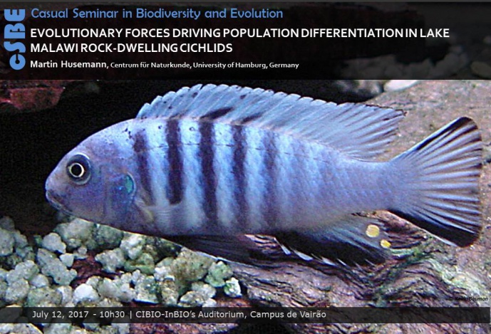EVOLUTIONARY FORCES DRIVING POPULATION DIFFERENTIATION IN LAKE MALAWI ROCK-DWELLING CICHLIDS