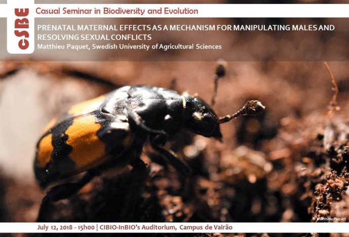 PRENATAL MATERNAL EFFECTS AS A MECHANISM FOR MANIPULATING MALES AND RESOLVING SEXUAL CONFLICTS