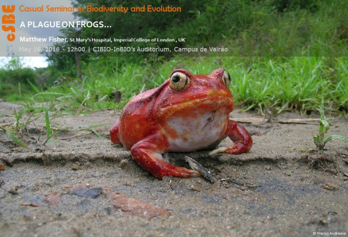 A PLAGUE ON FROGS...
