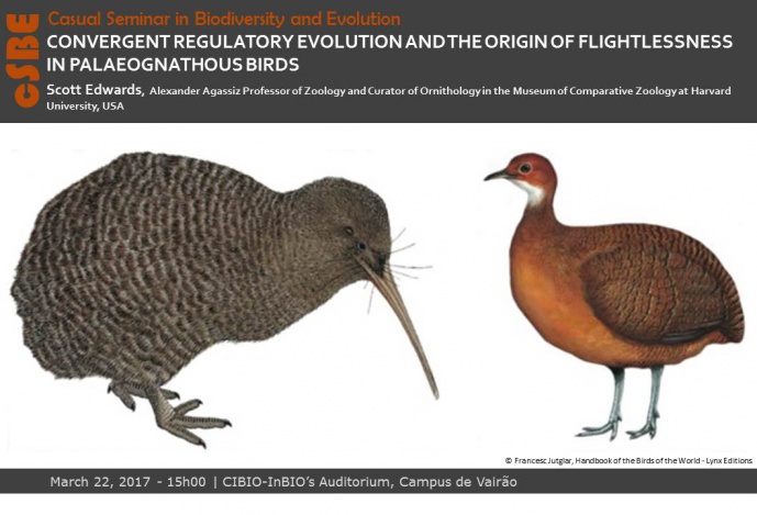CONVERGENT REGULATORY EVOLUTION AND THE ORIGIN OF FLIGHTLESSNESS IN PALAEOGNATHOUS BIRDS
