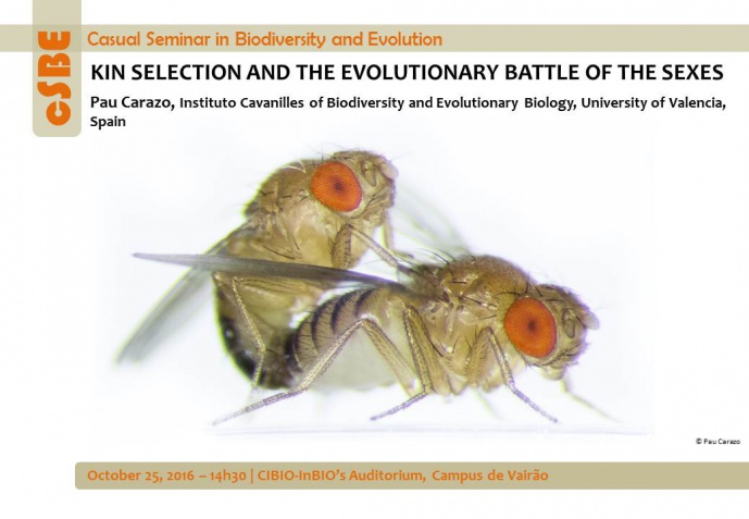 KIN SELECTION AND THE EVOLUTIONARY BATTLE OF THE SEXES