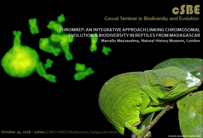 CHROMREP: AN INTEGRATIVE APPROACH LINKING CHROMOSOMAL EVOLUTION AND BIODIVERSITY IN REPTILES FROM MADAGASCAR