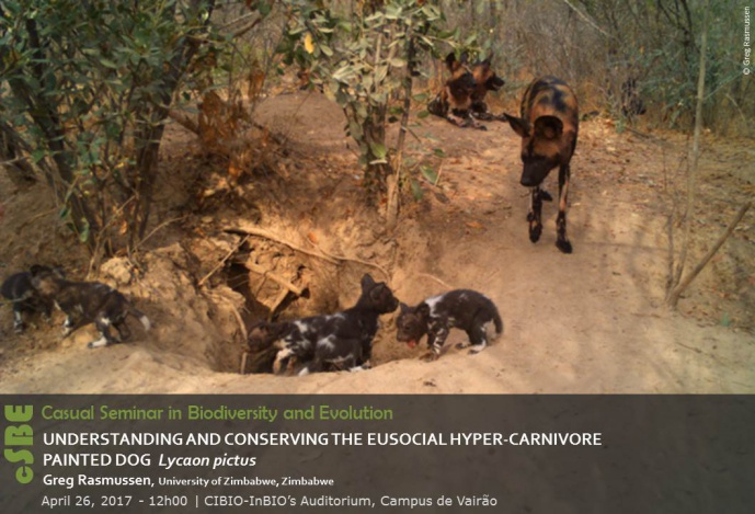 UNDERSTANDING AND CONSERVING THE EUSOCIAL HYPER-CARNIVORE PAINTED DOG Lycaon pictus