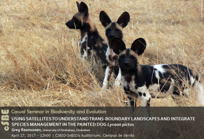 USING SATELLITES TO UNDERSTAND TRANS-BOUNDARY LANDSCAPES AND INTEGRATE SPECIES MANAGEMENT IN THE PAINTED DOG Lycaon pictus