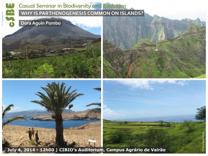 WHY IS PARTHENOGENESIS COMMON ON ISLANDS?