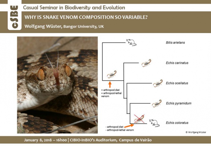 WHY IS SNAKE VENOM COMPOSITION SO VARIABLE?