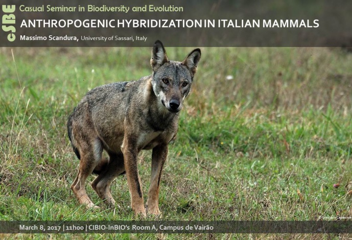 ANTHROPOGENIC HYBRIDIZATION IN ITALIAN MAMMALS