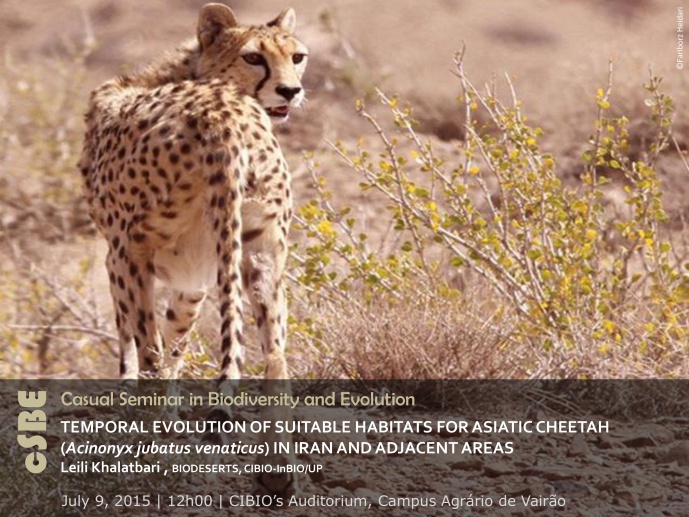 TEMPORAL EVOLUTION OF SUITABLE HABITATS FOR ASIATIC CHEETAH (Acinonyx jubatus venaticus) IN IRAN AND ADJACENT AREAS