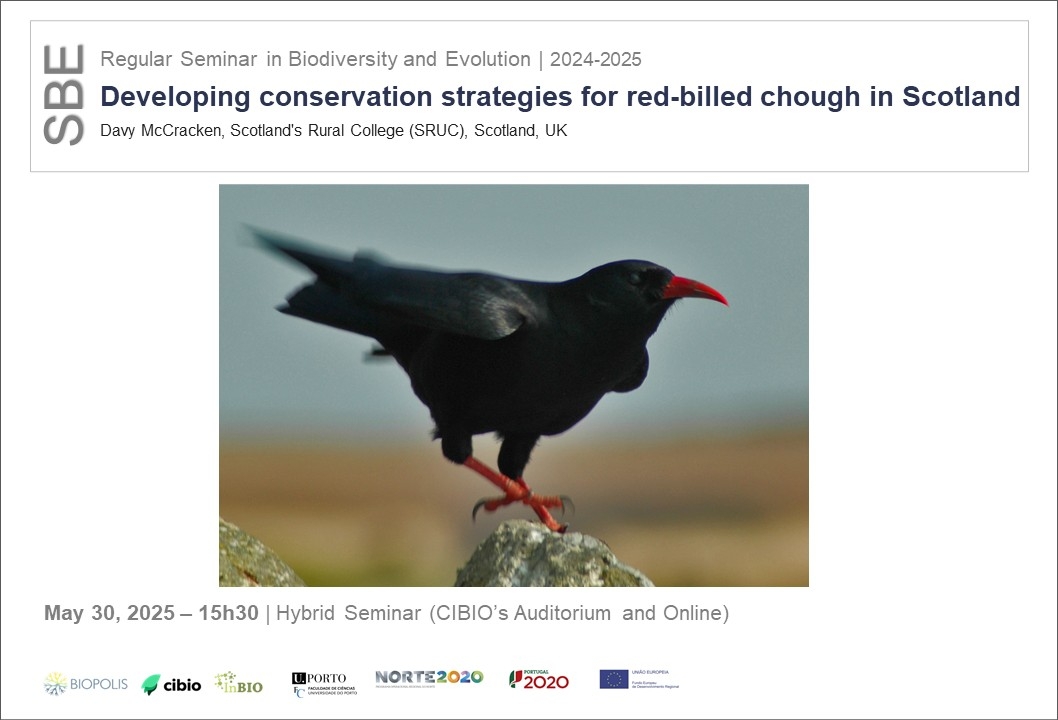 Developing conservation strategies for red-billed chough in Scotland