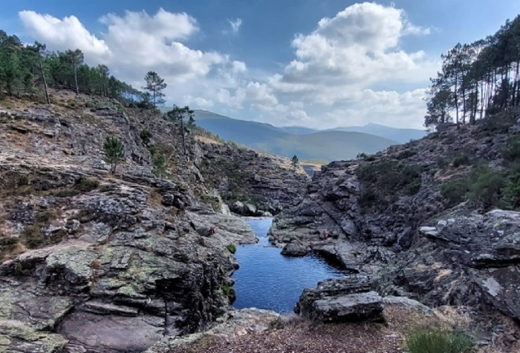 Ecosystem services: from concepts to applications