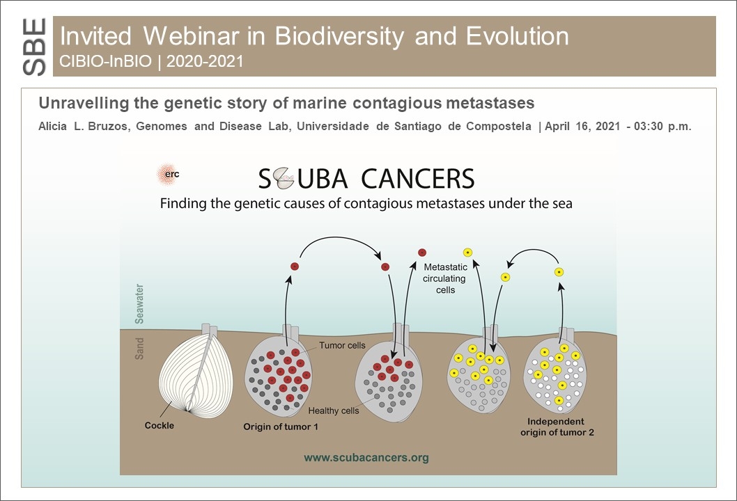 Unravelling the genetic story of marine contagious metastases