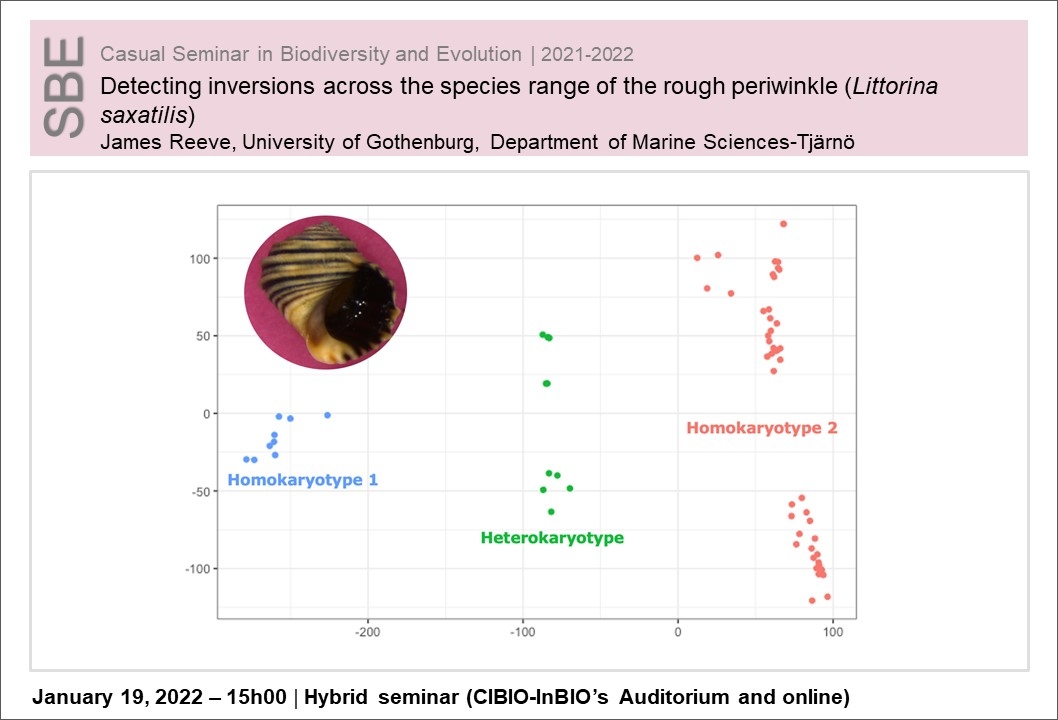 Detecting inversions across the species range of the rough periwinkle (<i>Littorina saxatilis</i>)