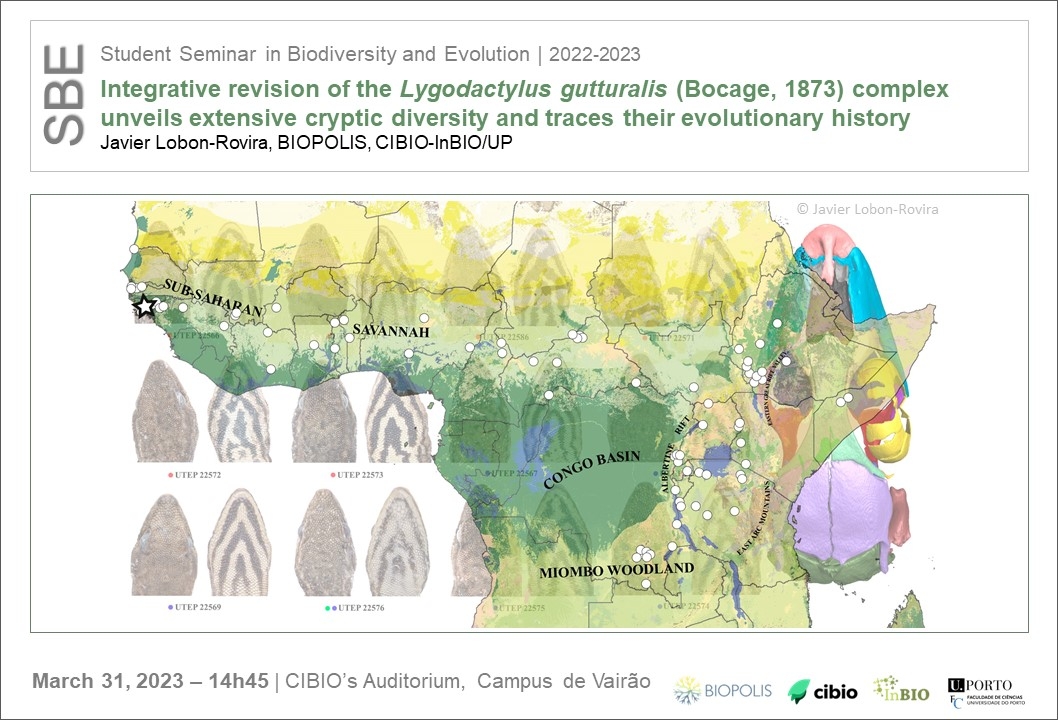 Integrative revision of the <i>Lygodactylus gutturalis</i> (Bocage, 1873) complex unveils extensive cryptic diversity and traces their evolutionary history