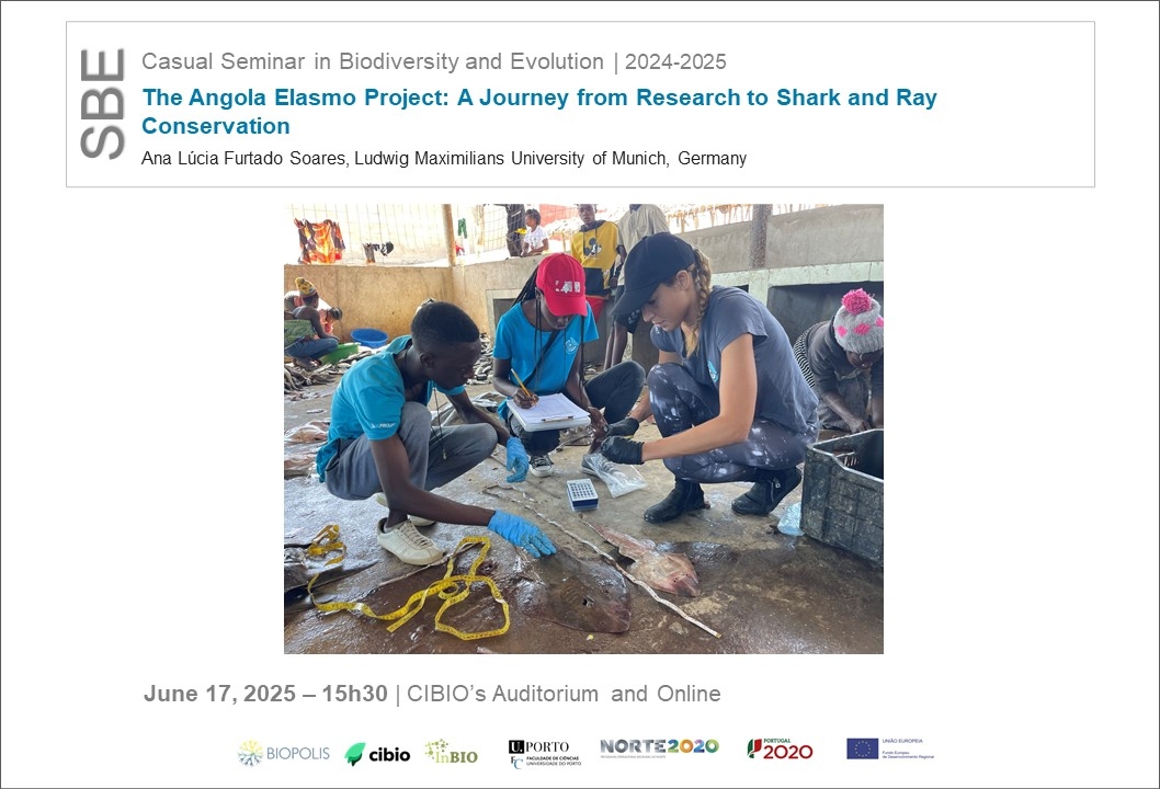 The Angola Elasmo Project: A Journey from Research to Shark and Ray Conservation