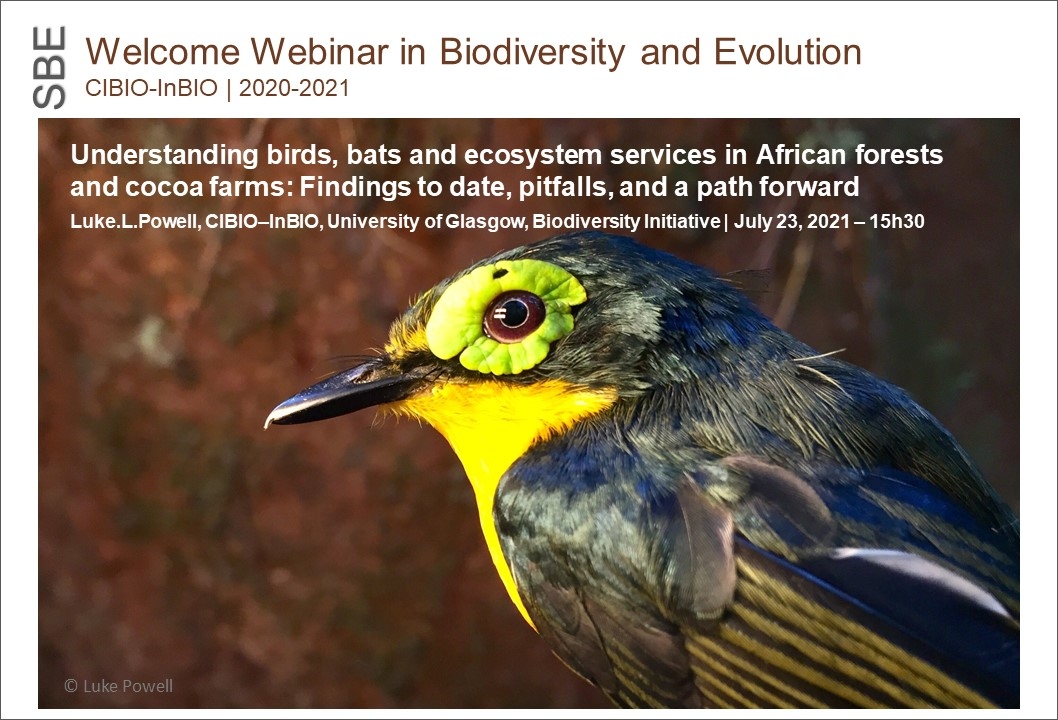 Understanding birds, bats and ecosystem services in African forests and cocoa farms: Findings to date, pitfalls, and a path forward