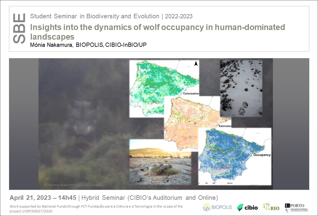 Insights into the dynamics of wolf occupancy in human-dominated landscapes