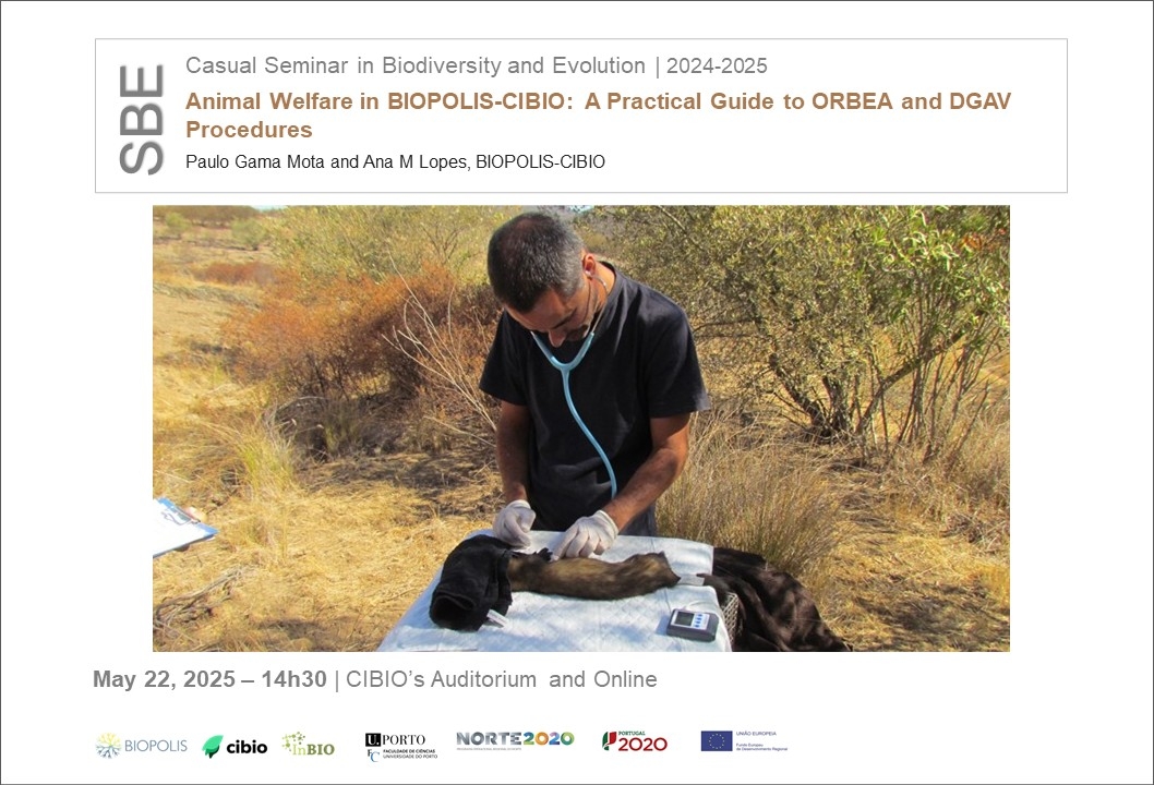 Animal Welfare in BIOPOLIS-CIBIO: A Practical Guide to ORBEA and DGAV Procedures