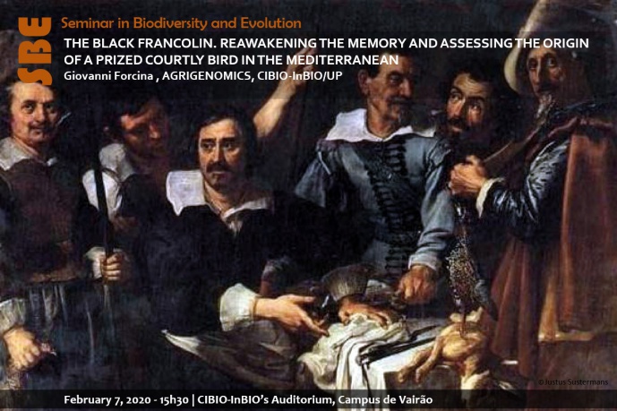 The Black Francolin. Reawakening the memory and assessing the origin of a prized courtly bird in the Mediterranean