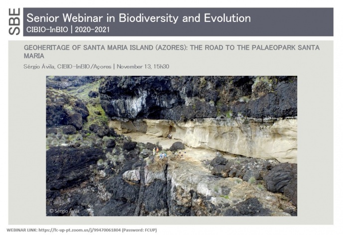 Geoheritage of Santa Maria Island (Azores): the road to the PalaeoPark Santa Maria