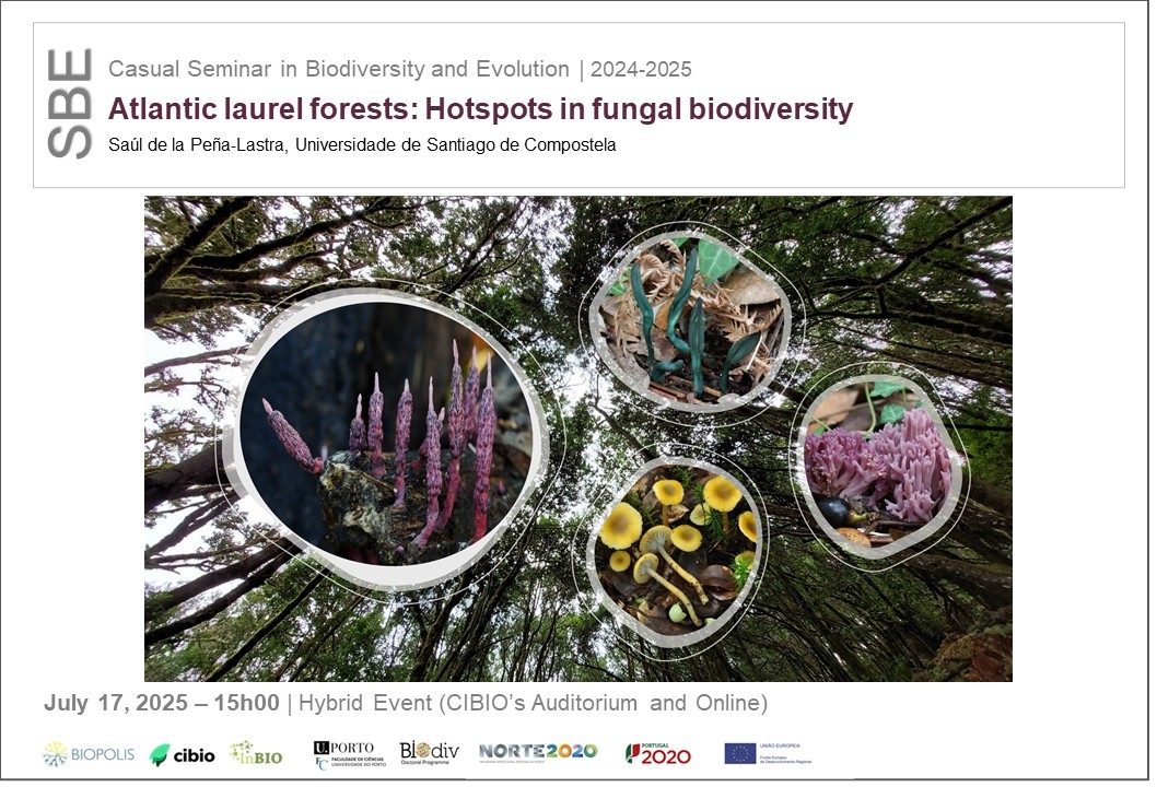 Atlantic laurel forests: Hotspots in fungal biodiversity