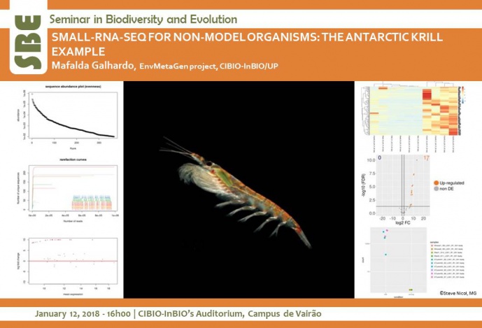 SMALL-RNA-SEQ FOR NON-MODEL ORGANISMS: THE ANTARCTIC KRILL EXAMPLE