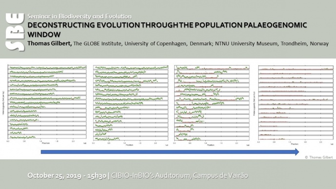 DECONSTRUCTING EVOLUTION THROUGH THE POPULATION PALAEOGENOMIC WINDOW