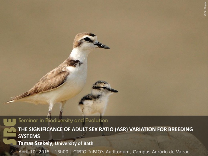 THE SIGNIFICANCE OF ADULT SEX RATIO (ASR) VARIATION FOR BREEDING SYSTEMS