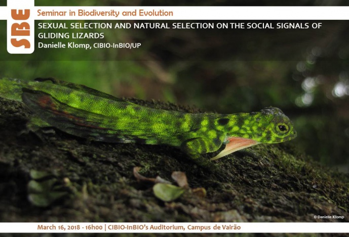 SEXUAL SELECTION AND NATURAL SELECTION ON THE SOCIAL SIGNALS OF GLIDING LIZARDS