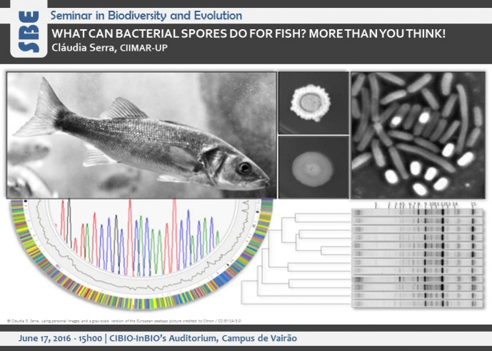 WHAT CAN BACTERIAL SPORES DO FOR FISH? MORE THAN YOU THINK!